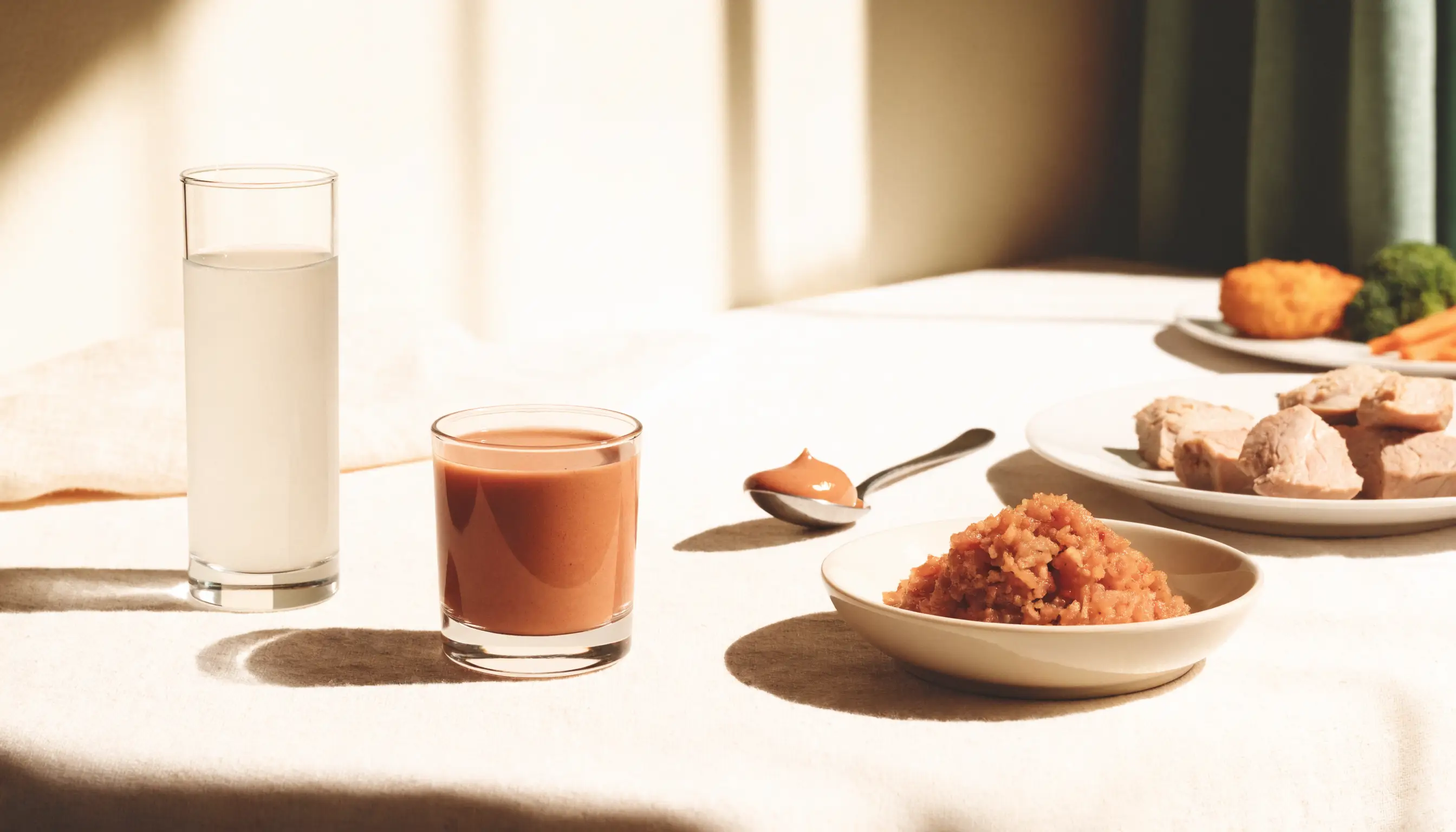 Examples of drinks, purees, moist minced food, soft food, and a regular meal arranged together